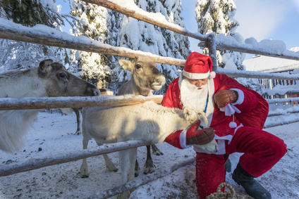 Santa Claus caresses the reindeer, Ruka (Kuusamo), Northern Ostrobothnia region, Lapland, Finland