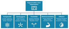 ifaa Organisationaler Resilienz-Check Analyse